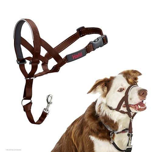 HALTI Halfter - um zu verhindern, DASS Ihr Hund an der Leine zieht Verstellbar, reflektierend und leicht, mit gepolstertem Nasenband, Hundetraining Anti-Zug Halsband für mittelgroße Hunde (Größe 2,