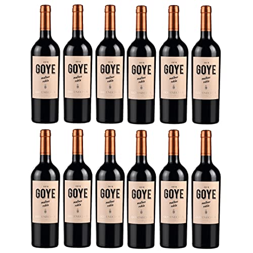 Goyenechea Malbec GOYE Rotwein Wein trocken Argentinien I FeinWert Paket (12 x 0,75l)