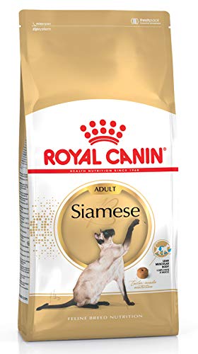 Royal Canin 55193 Siamese 10 kg - Katzenfutter