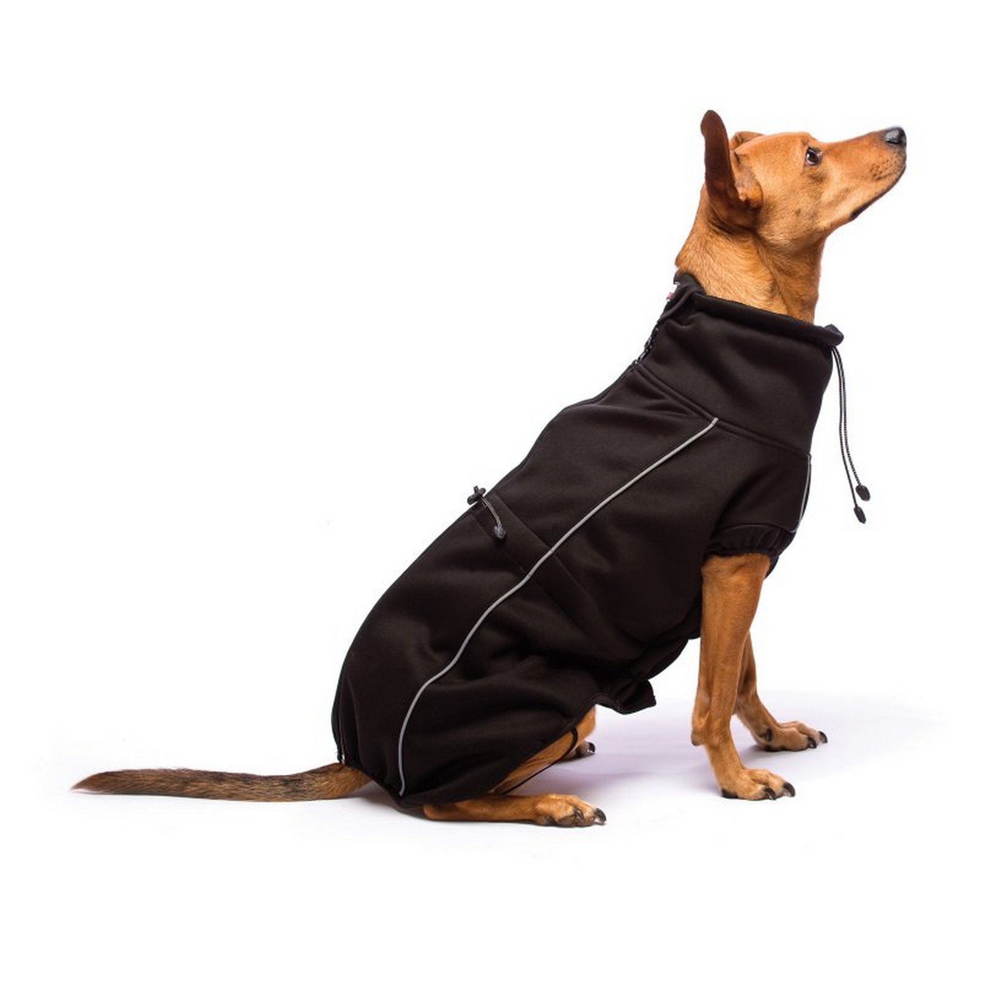 Dog Gone Smart Hundemantel, Softshell-Optik, 25,4 cm, Schwarz