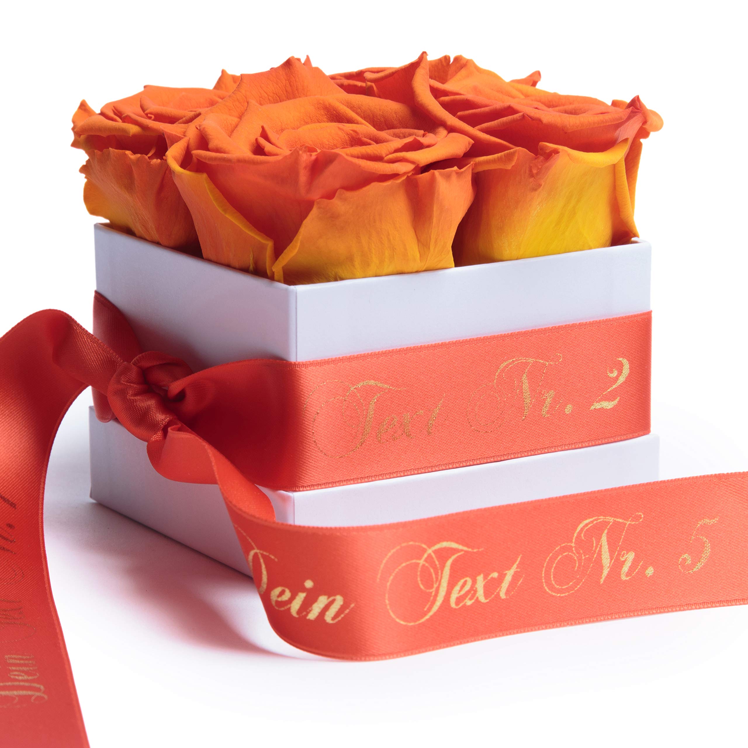 ROSEMARIE SCHULZ Heidelberg Rosenbox Individual mit Wunschtext Infinity Rosen konservierte Blumen Liebe für Damen (Spezialtext, Orange)