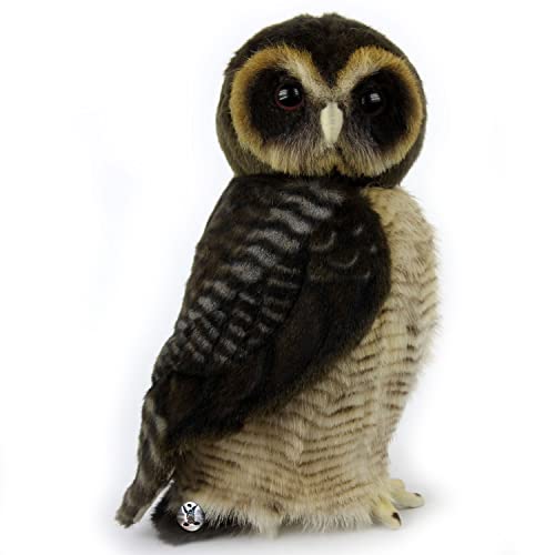 Eule Premium Vogel Malaienkauz Kauz Brown Wood Owl Plüschtier Dekotier Aramis - Kuscheltiere*biz