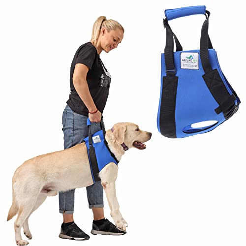 Hunde Tragehilfe vorne/Gehhilfe Hund vorne/Rehahilfe für ältere oder kranke Hunde (M Blau)