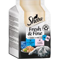 Sparpaket Sheba Fresh & Fine Frischebeutel 72 x 50 g - Thunfisch & Lachs in Gelee