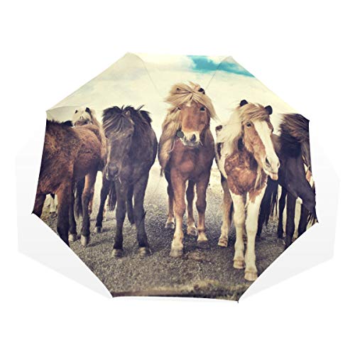 ISAOA Automatischer Reise-Regenschirm,kompakt,faltbar,Running Horse Art Malerei,Winddicht Stockschirm,Ultraleicht,UV-Schutz,Regenschirm für Damen,Herren und Kinder