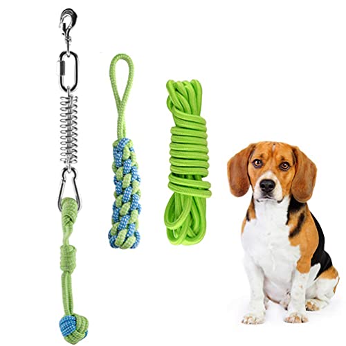 Federstange Hundespielzeug-Hundespielzeug, Seilspielzeug im Freien, hängende Übung, Spielen, Ziehen, Hundespielzeug, Muskelaufbauer für Hund, Welpen, 5 m (Farbe: Grün)