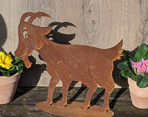 terracotta-toepfe-de Ziege ca. 40 cm breit aus Metall Edelrost Rost Deko Tier Garten Ziegenbock Geißbock