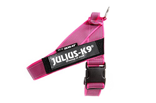 JULIUS-K9, 16IDC-0-PN-2015, Color&Gray IDC-Gurtbandgeschirr, Größe 0, pink-grau