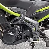 LoraBaber für Kawasaki Z900 2017 2018 2019 Links Rechts Rahmen Seitenverkleidung Verkleidung Abdeckung Z 900 17 18 19 (Schwarz)