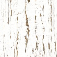Bodenfliese Feinsteinzeug Vegas Bianco 60 x 60 cm weiß