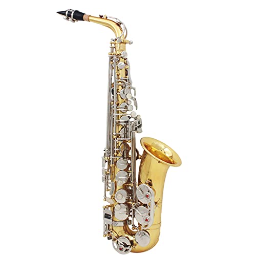 Saxophon,KOCAN Altsaxophon,Sax,glänzendes Messing,graviertes Es,Es,natürliches weißes Muschelknopf-Blasinstrument mit Koffer,Dämpferhandschuhe,Reinigungstuch,Gürtelbürste,saxophongurt