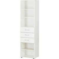 Regal - weiß - 50 cm - 185 cm - 40 cm - Regale > Bücherregale - Möbel Kraft