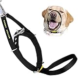 Canny Collar Halsband für Hunde, einfache und effektive Hilfe beim Hundetraining und verhindert das Ziehen von Hunden - Schwarz