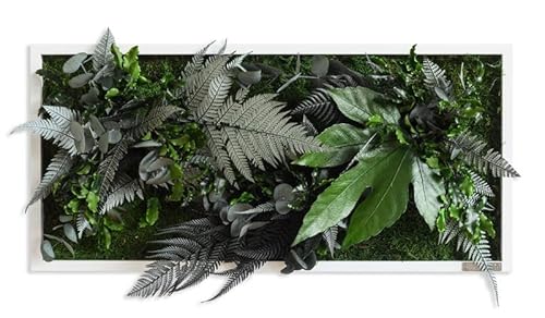 styleGREEN Pflanzenbild im Dschungeldesign 57x27cm Vollholz (weiß)