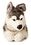 Uni-Toys - Husky, liegend - 40 cm (Länge) - Plüsch-Hund, Haustier - Plüschtier, Kuscheltier