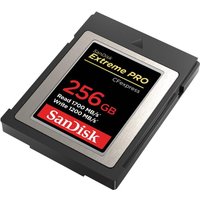 SanDisk Extreme Pro - Flash-Speicherkarte - 256GB - CFexpress (SDCFE-256G-GN4NN)