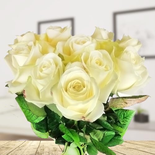 10 weiße Rosen - Langstielig - Vasenfertig - Frische Rosen von Rosenbote