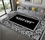 Keep Off Teppich für Wohnzimmer, Schlafzimmer, Dekoration, Couchtisch, Küche, Badezimmer, rutschfeste Bodenmatte 200x300cm
