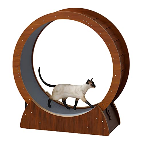 Katzenlaufrad for den Innenbereich, bodenstehendes Laufband zur Gewichtsreduktion for Katzen Aller Größen, mit Sicherheitsschloss, dichte Faserplatte, 88/97/107/117 cm hoch (Size : XL)
