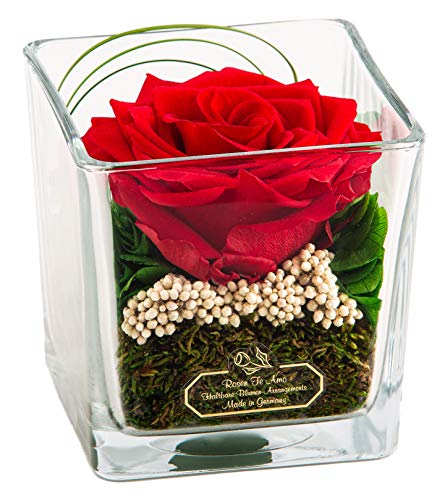 Rosen-Te-Amo - Infinity Premium Rose in hochwertiger Würfel Vase, 100% echte Dekorative-Pflanzen und Moose; Haltbare Blumen im Kubik-Glas als Geschenkidee