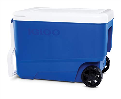 Igloo Wheelie Cool 38 Kühlbox mit Rollen, 36 Liter, Blau