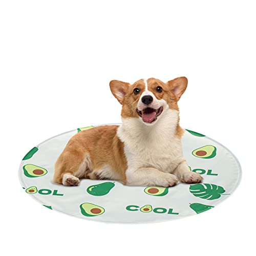ROSSEV Eisdecke für Haustiere | Kühldecke für Hunde beißt – Katzenbett, kühlend, wasserfest, mit Corgi-Avocado-Motiv für kleine Hunde