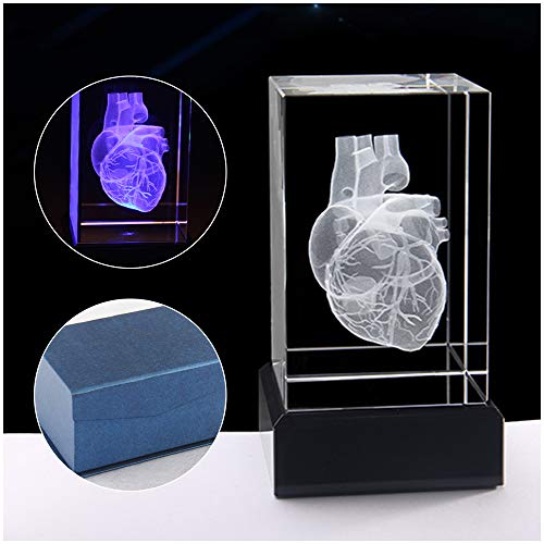 LUCKFY 3D Human Heart Anatomisches Modell - Kristall 3D Menschliches Herz mit Coronary Artery - Briefbeschwerer (Gelasertes) in Kristallglas Cube Science Gift (inklusive LED-Basis)