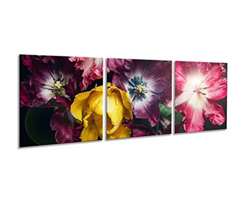artissimo, Glasbild mehrteilig XXL, 3-teilig ca.150x50cm, AG5286A, Dark Flowers, Bild aus Glas, 3-Teiler, moderne Wanddekoration aus Glas, Wandbild, Wohnzimmer modern, Blumen auf schwarzem Hintergrund