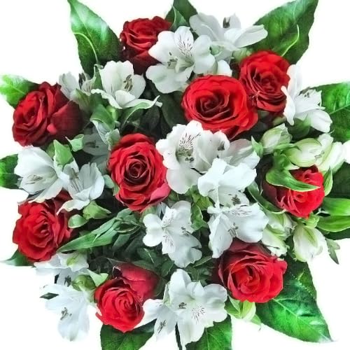 Blumenstrauß"Rote Rosen" mit 9 Rosen und weißen Alstromerien