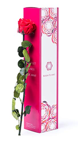 Rosen-Te-Amo - Konservierte echte rote Rose: Unvergängliche Blume mit Grußkarte zum Herunterladen; Infinity Rosen - Deko und Geschenk als Liebe Symbol