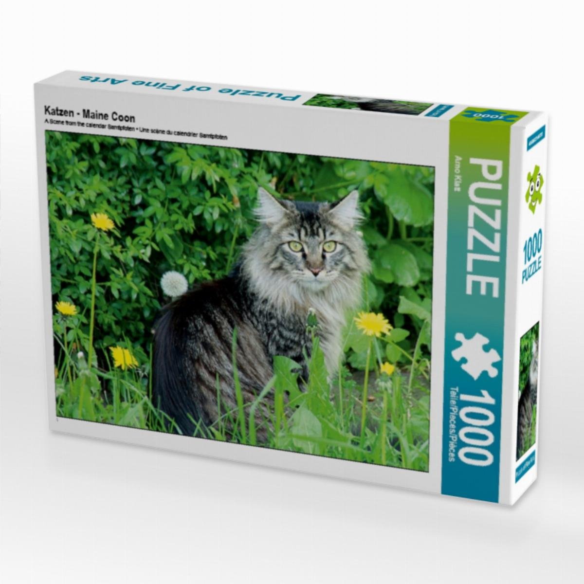 CALVENDO Puzzle Katzen - Maine Coon 1000 Teile Lege-Größe 64 x 48 cm Foto-Puzzle Bild von Arno Klatt