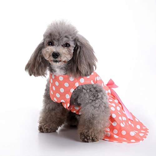 SUSOSU Haustier Kleidung Hunderock Wasserdruck Hundekleidung Rock Kleider für Kleine Mädchen Hunde Niedliche Haustierkleidung,Orange,XS