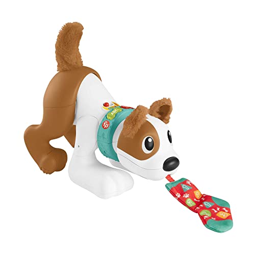 Fisher-Price Lernspielzeug Bello Spielzeughund, mit Licht- und Sound