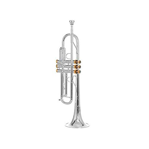 BB Trumpet Series – Silber Plated Trumpet Horn Silver Plated Hand-Carved One of The B Flat Trumpet Level Tone Better