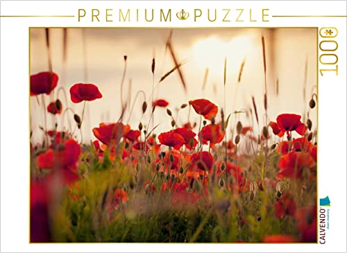 CALVENDO Puzzle Mohnblumen im Abendlicht 1000 Teile Lege-Größe 64 x 48 cm Foto-Puzzle Bild von Lain Jackson