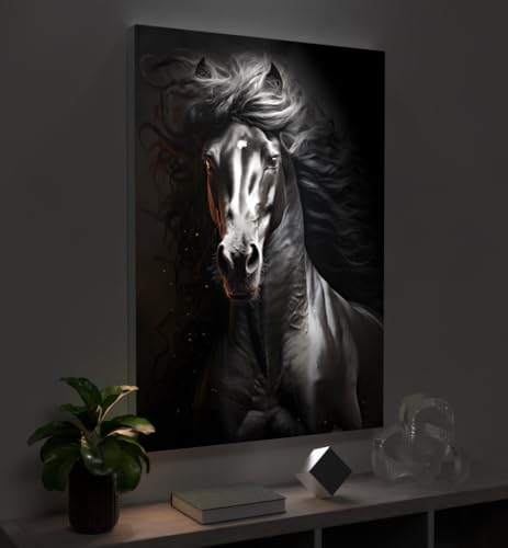 MyMaxxi - Pixlip Poster Schwarzes Pferd 1 Wandbild Design Wand Dekoration, Foto schwarz weiß Leuchtrahmen - Pferdekopf, 84x120 cm, Rahmen: nur Druck