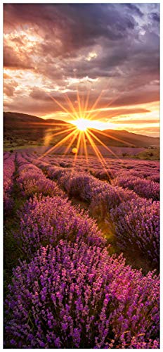 posterdepot Türtapete Türposter Lavendelfeld bei Sonnenuntergang - Sonnenstrahlen - Größe 93 x 205 cm, 1 Stück, ktt0753
