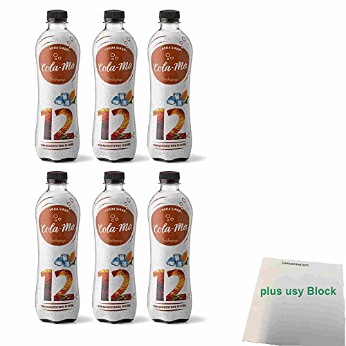 Sodapop Sirup Cola Mix mit Orange für Wassersprudler 6er Pack (6x 500ml Flasche) + usy Block