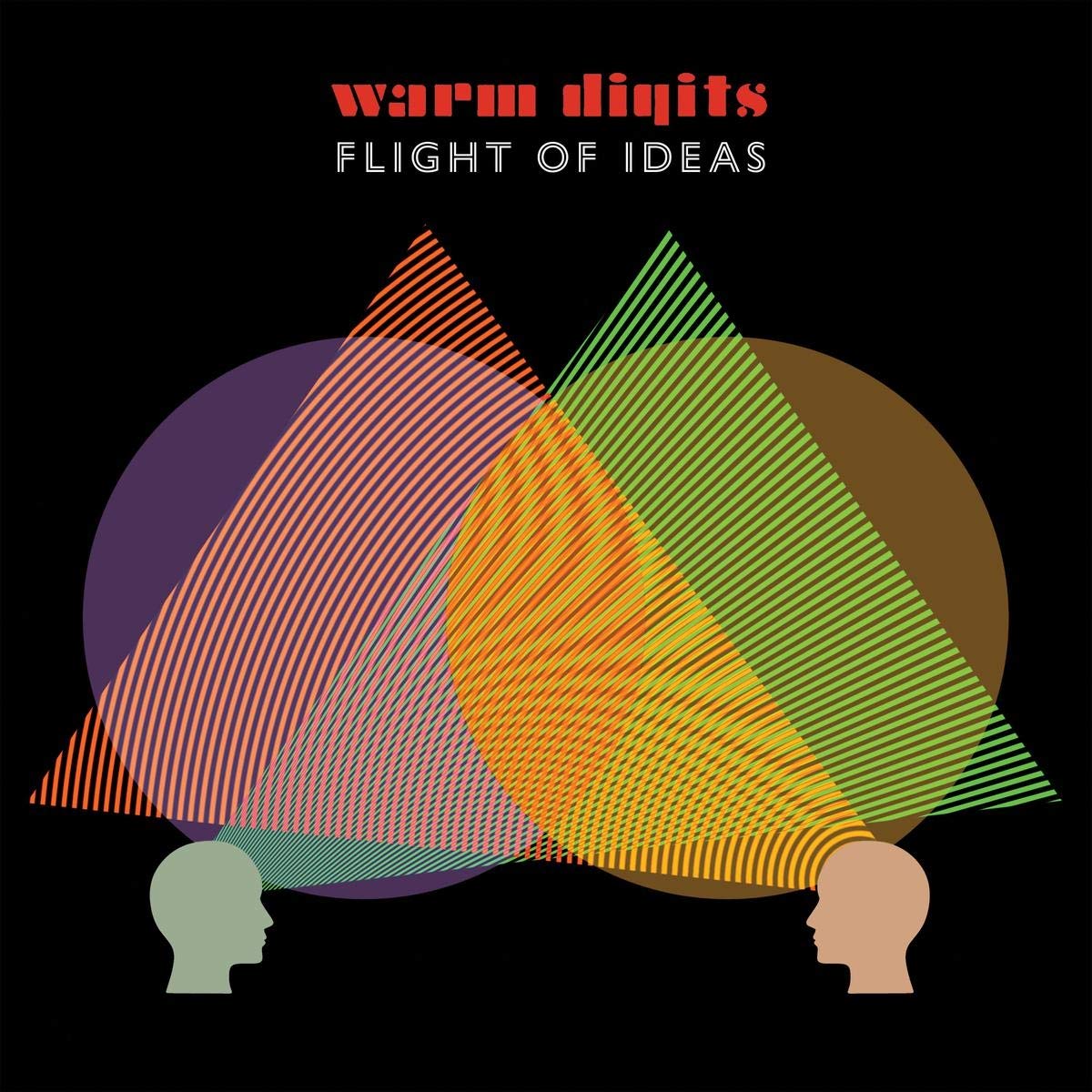 Flight of Ideas (Orange Colored) [Vinyl LP]