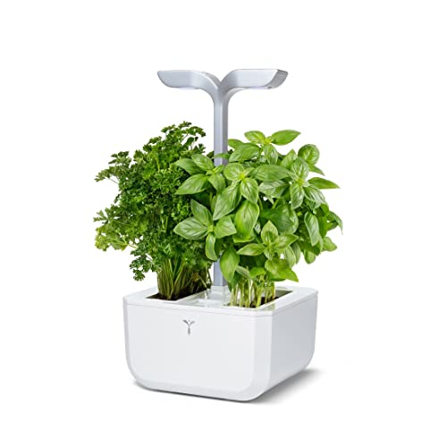 Véritable® EXKY® - Potager d’Intérieur Fabriqué en France – Jardin Autonome Intelligent Livré Avec 4 Lingots® – Ces Innovation Award 2019, Elu Produit De l’Année 2020 (SMART Arctic White)