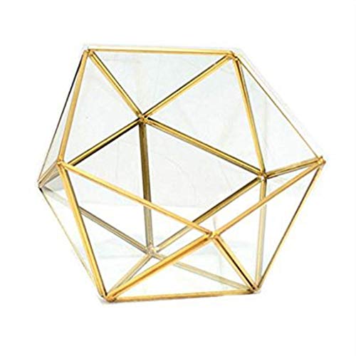 Geometrisches Terrarium-Pflanzgefäß, Pentagon-Behälter, moderne Dekoration, Blume, für Sukkulenten, Schmuckhalter und Weiß