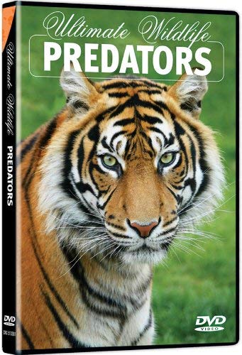 Ultimate Wildlife: Predators / (Ws Amar) [DVD] [Region 1] [NTSC] [US Import]