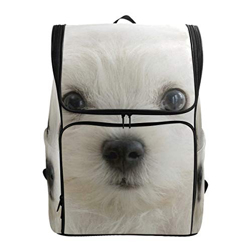 FANTAZIO Rucksack für Hunde und Welpen, für den Außenbereich, für Reisen, Wandern, Camping, Freizeit-Rucksack, groß