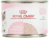 Royal Canin Katzenfutter Feline Babycat Instinctive 195 g, 6er Pack (6 x 195 g)