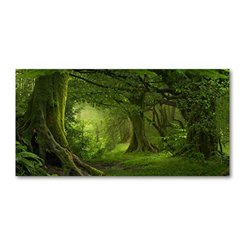 Tulup Acrylglas - Wandkunst - Bild auf Acrylglas Deko Wandbild hinter Kunststoff/Acrylglas Bild - Dekorative Wand für Küche & Wohnzimmer 100 x50 cm - Landschaften - Tropischer Dschungel - Grün