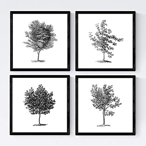 Nacnic Set von Vier Blättern der Bäume. Grove in der Größe 30x30 cm, weiß Poster Papier 250g und qualitativ hochwertige Tinten. Frameless