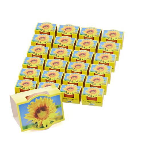 Bull & Bear 25er Set Mini-Pflanzset Zwergsonnenblumen, Blumensamen im Topf 4,5cm, Mini Sonnenblumen als Anzuchtset mit Pflegeanleitung