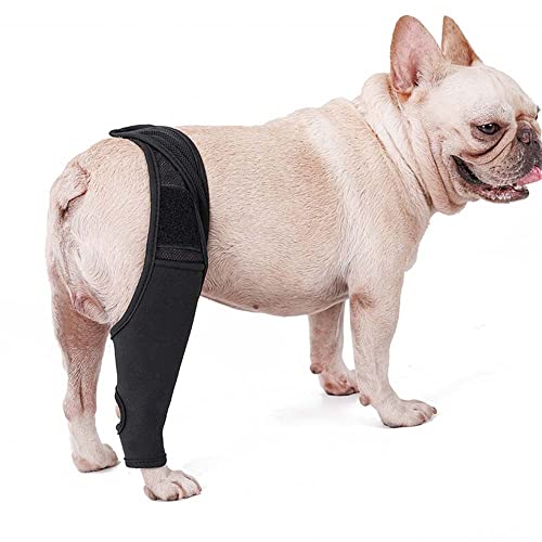 MiOYOOW Hunde-Kniebandage, Kniebandage für Hunde, reduziert Schmerzen, Entzündungen bei ACL-Kniescheibung, Arthritis, mittelgroße und große Hunde