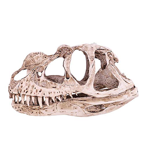 Fdit Retro Dinosaurier Harz Schädel Kopf Modell Replik Skeleton Figurine Sammlung Hause Bar Party Decor