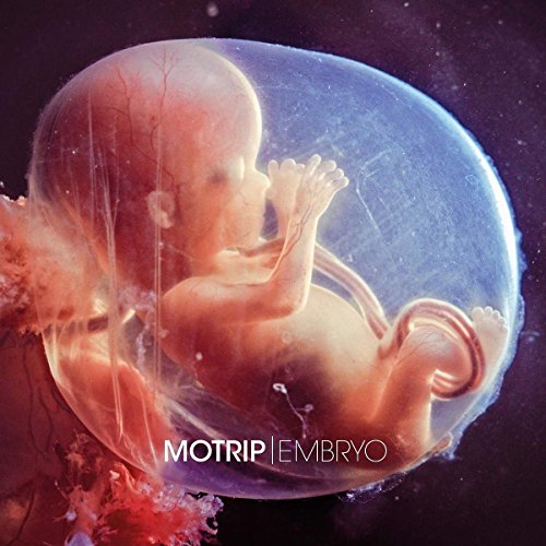 Embryo (Doppelvinyl / Limited Edition inkl. MP3 Download-Code) [Vinyl LP]